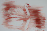 cigno bianco - pastello rosso su carta cm 50 x 70 - 2009